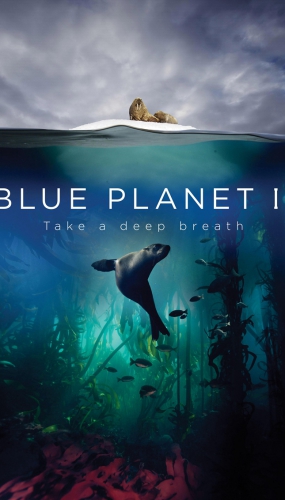 蓝色星球2 4K蓝光高清版下载/ 蓝色星球 第二季 2017 Blue Plane...